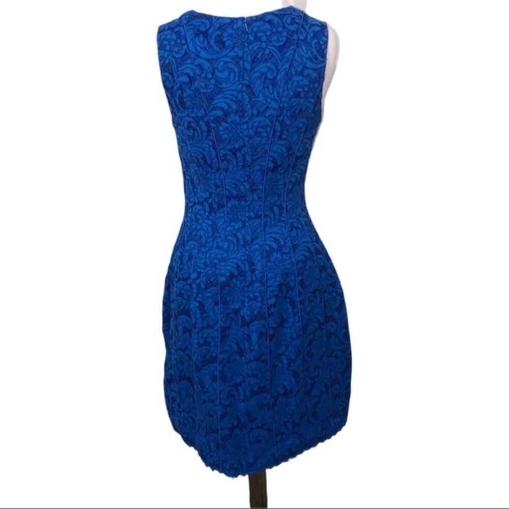 Adam Lippes Corded Lace Flare Dress Cobalt 8 NWT - Picture 7 of 14